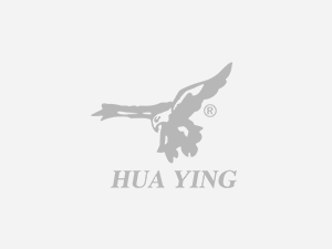 Huaying (former Compal Electronics) Company name change and